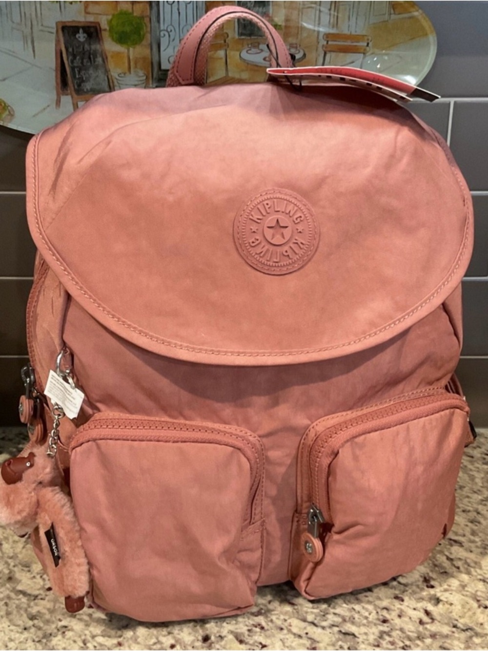 Kipling Fiona Mini Backpack Purse Kind Rose NWT